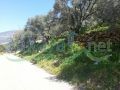 Land for sale or Invest in Aray Jezzine