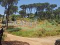 Land for sale in Btaybet/ Baabda