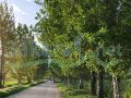 Land for sale in Al Mansoura/ West Bekaa