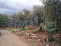 Land for sale in Daraya/ Zgharta