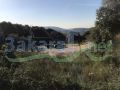 Land for sale in Shebtine