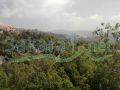 Kleiat land for sale 