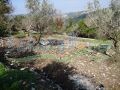 Offer Land For Sale In Bejjeh