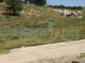 Land for sale in Mtein