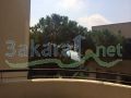 Apartment for rent in Shayleh