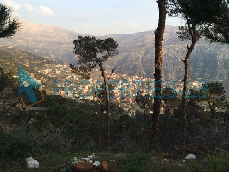 Lands For Sale in Baskinta, El Meten, Mount Lebanon, Lebanon