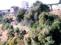 Land for sale in amchit