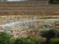 Batroun Farm