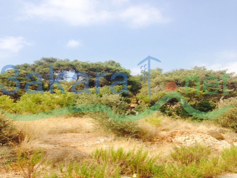 Lands For Sale in Batsha, Baabda, Mount Lebanon, Lebanon 12142000000