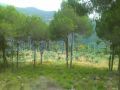 Land for sale in Broumana