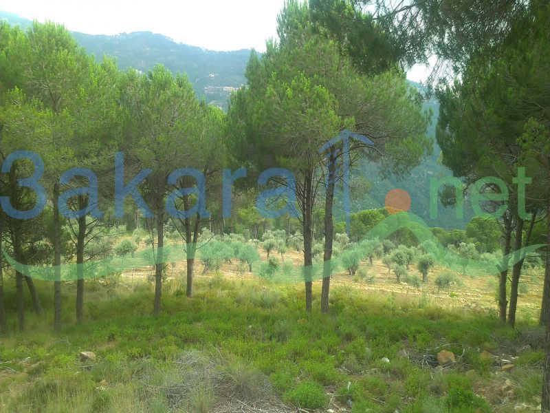 Lands For Sale in Broumana, El Meten, Mount Lebanon, Lebanon
