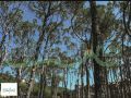 Land for sale in Douwar/ Metn