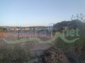 Land for sale in Haboush/ Nabatieh
