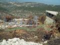 Al Alali Farm with land and a house