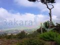 Land for sale in Ainab/ Aley