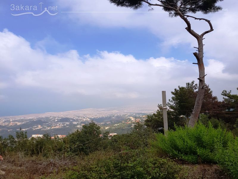 Lands For Sale in Ainab, Aley, Mount Lebanon, Lebanon 15335000000