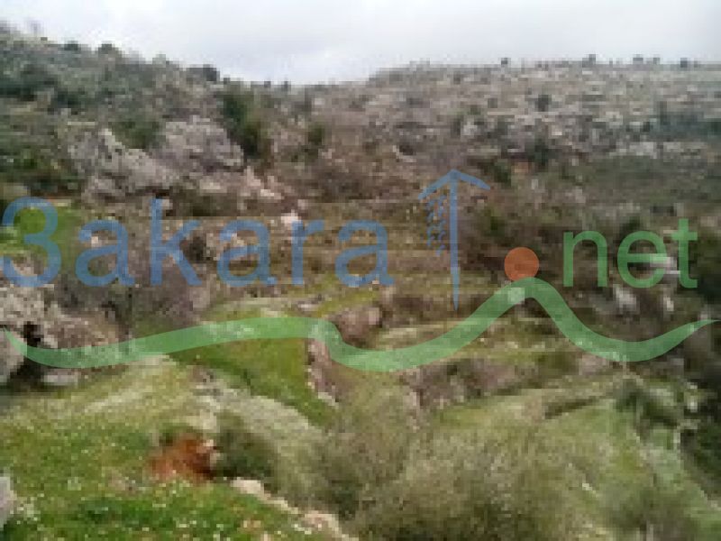 Lands For Sale in Jezzine, Jezzine, South, Lebanon 10672000000
