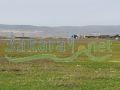 Lands for sale in Al Marej/ West Bekaa