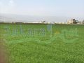 Land for sale on Hizzine/ Bekaa