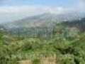 land for sale in Sir Donniyeh,North Lebanon