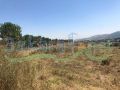 Land for sale in Andket/ Akkar
