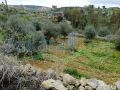 Land for sale in Beit Liff/ Bent Jbeil