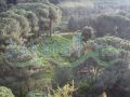 Mkalles/ Mansourieh Land for sale