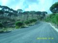 Offer for sale land in Ain Zhelta, Chouf (AK34)