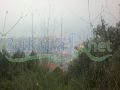 953m2 land in harissa mountain for sale 