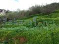 Ain Saadeh Land For Sale