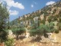 Land for sale in Hakel/ Jbeil