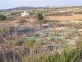 Land for sale in Al Bayad Sour 