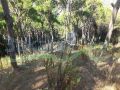 Land for sale in Nabee Saadeh, Beit Mery