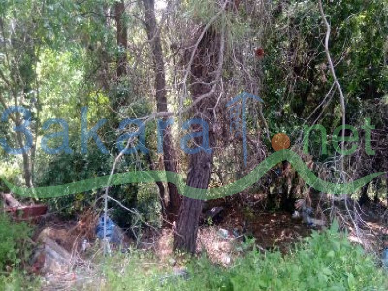 Lands For Sale in Baabdat, El Meten, Mount Lebanon, Lebanon