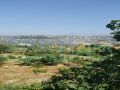 Land for sale in Taazaniyeh/ Aley