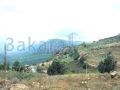 Green Valley Comp. 5 - Alay - Lebanon