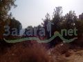 Land for sale in Douwar