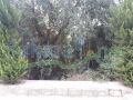 Land for sale in Al Maaysra/ Keserwan