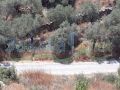 Lands for sale in Joun/ Chouf