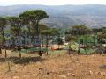 Btaybet / Baabda Land for sale