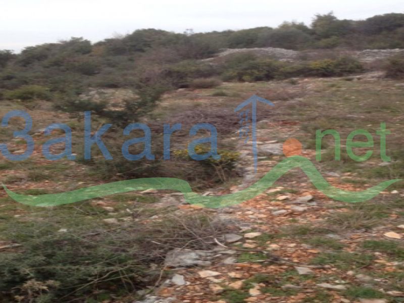 Lands For Sale in Awra, El Batroun, North, Lebanon 10141000000