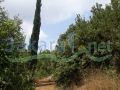 Land for sale in Al Maaysra/ Keserwan