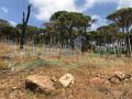 Btaybet / Baabda Land for sale