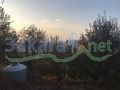 Land for sale in Mazraet Kfarzebian 