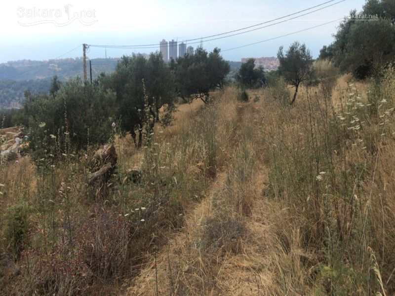 Lands For Sale in Ain Drafil, Aley, Mount Lebanon, Lebanon