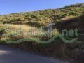 Land for sale in Bantael