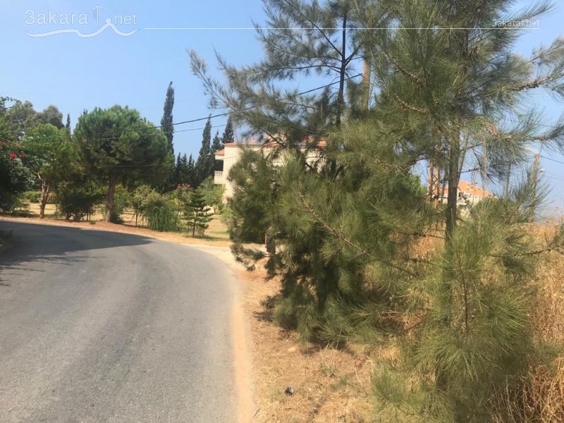 Lands For Sale in Ras Maska, El Koura, North, Lebanon 15344000000
