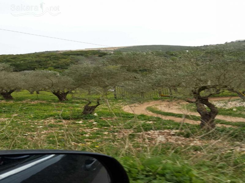 Lands For Sale in Sfar, Jbeil, Mount Lebanon, Lebanon 14793000000