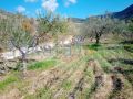 Land for sale in Barteh/ Saida