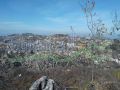 Land for sale in Mazraet Kfarzebian  